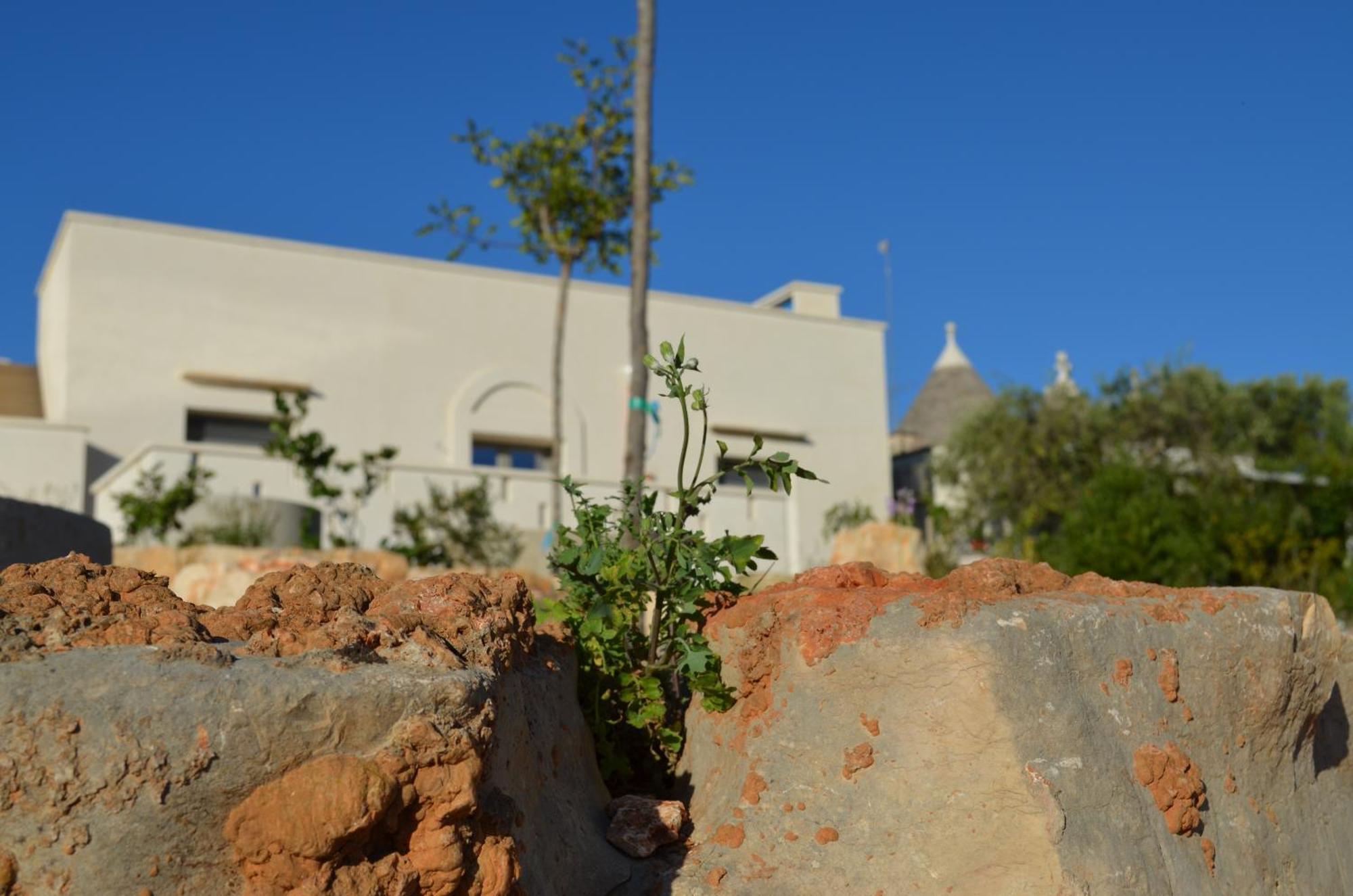 B&B Fuga Al Trullo Ostuni Exteriör bild